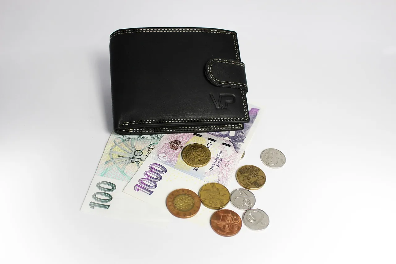 money, wallet, banknotes, leather wallet, coin, finance, business, money, wallet, wallet, wallet, wallet, wallet