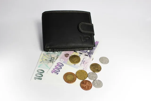 money, wallet, banknotes, leather wallet, coin, finance, business, money, wallet, wallet, wallet, wallet, wallet. How to compare franchise fee models by cash, sales base and VAT